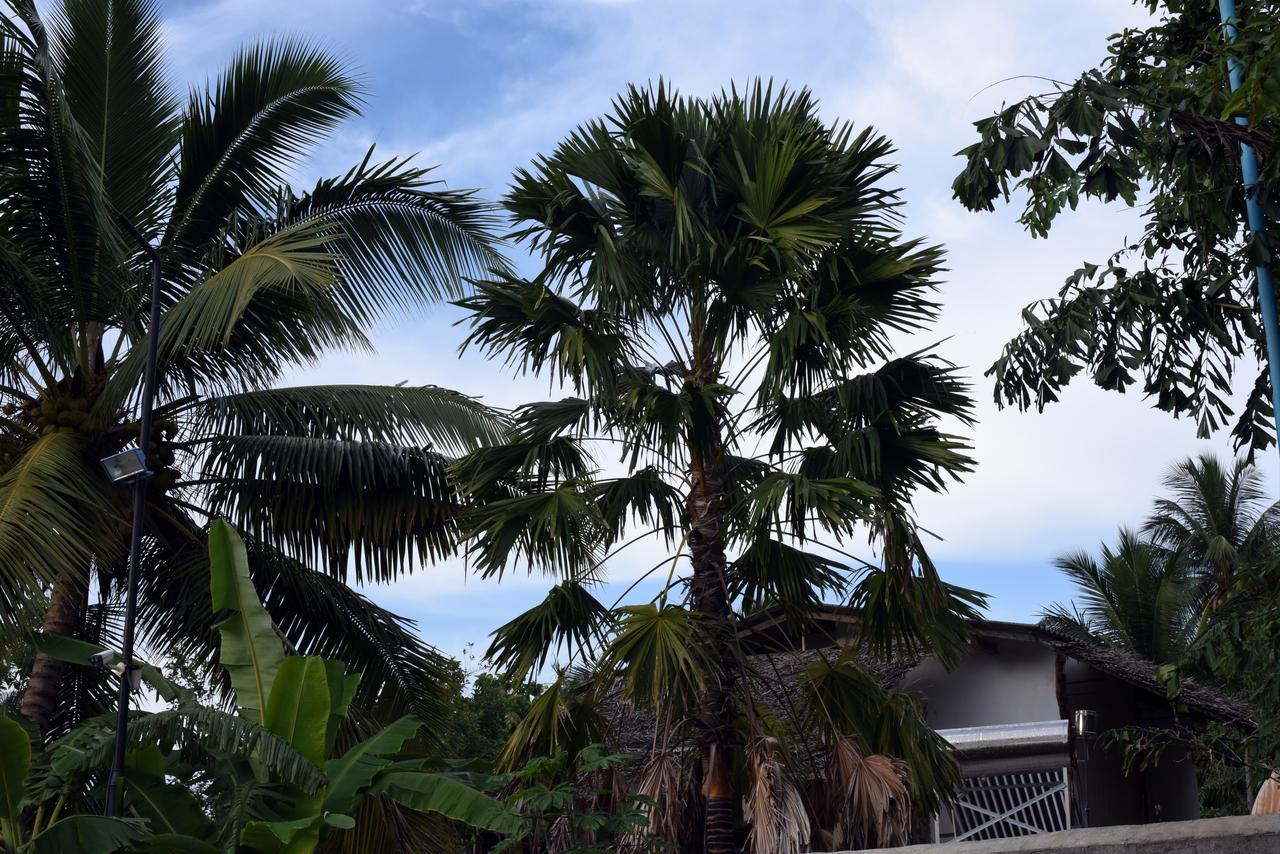 Sun&Green Eco Lodge - Dambulla Exterior foto