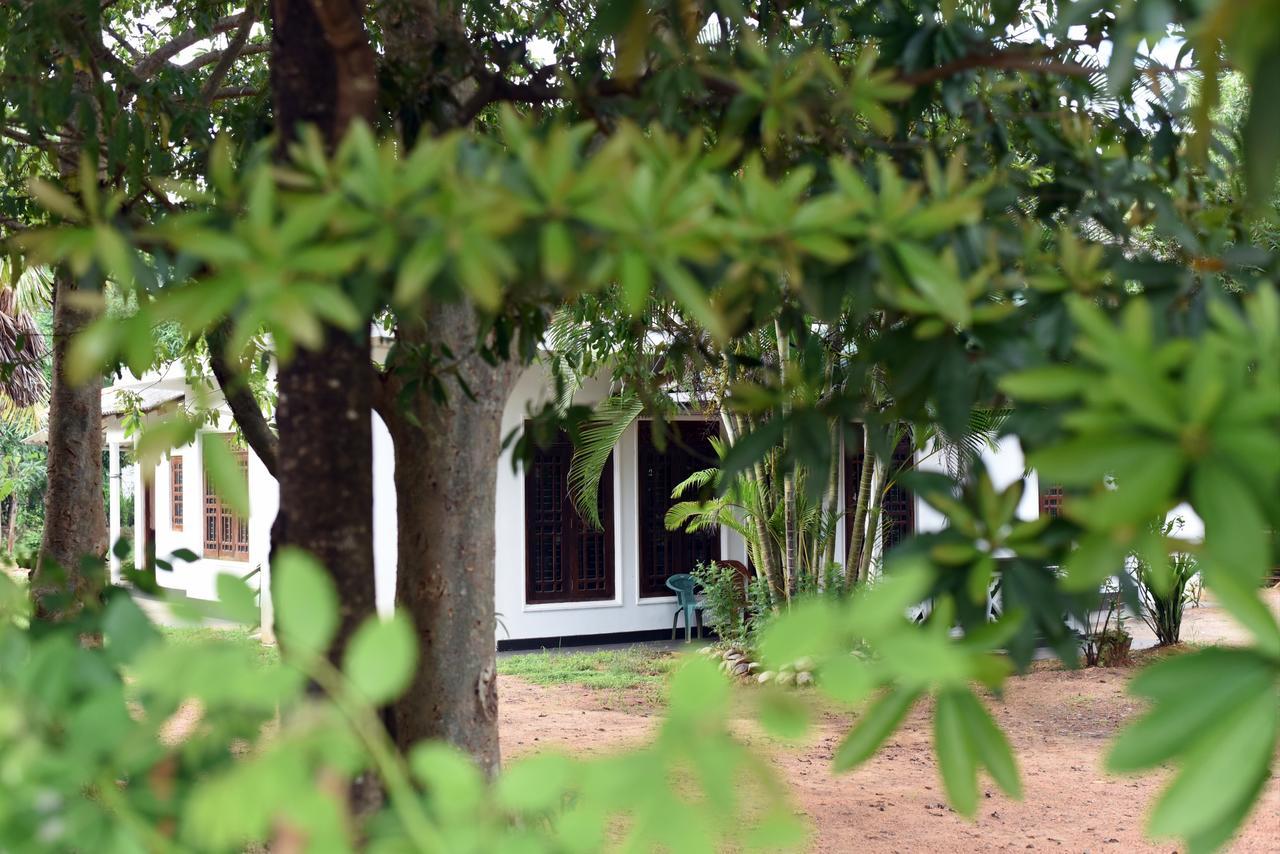 Sun&Green Eco Lodge - Dambulla Exterior foto