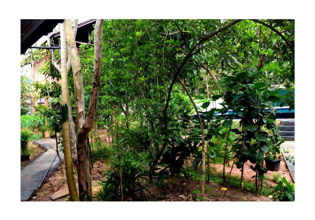 Sun&Green Eco Lodge - Dambulla Exterior foto