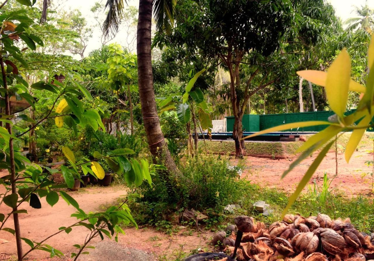 Sun&Green Eco Lodge - Dambulla Exterior foto