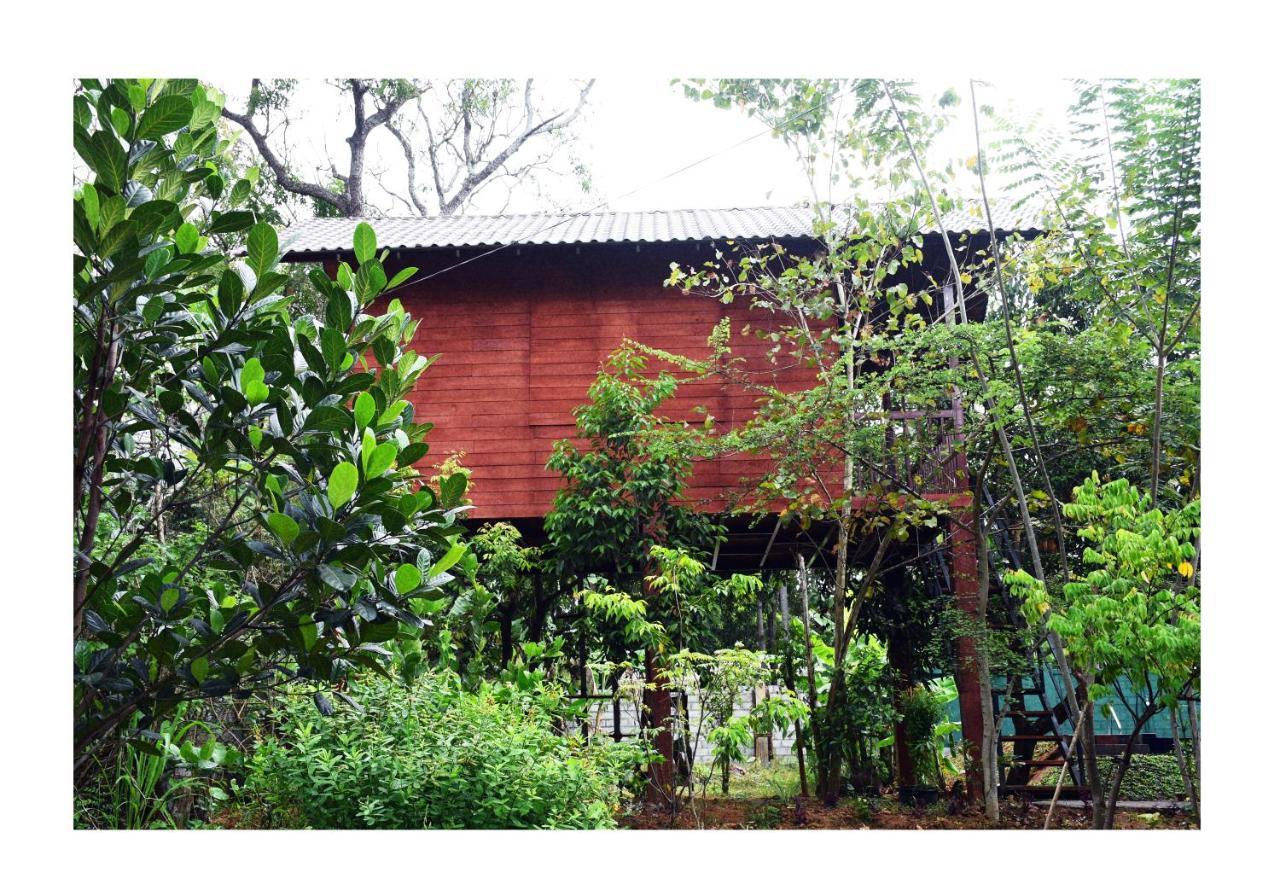 Sun&Green Eco Lodge - Dambulla Exterior foto