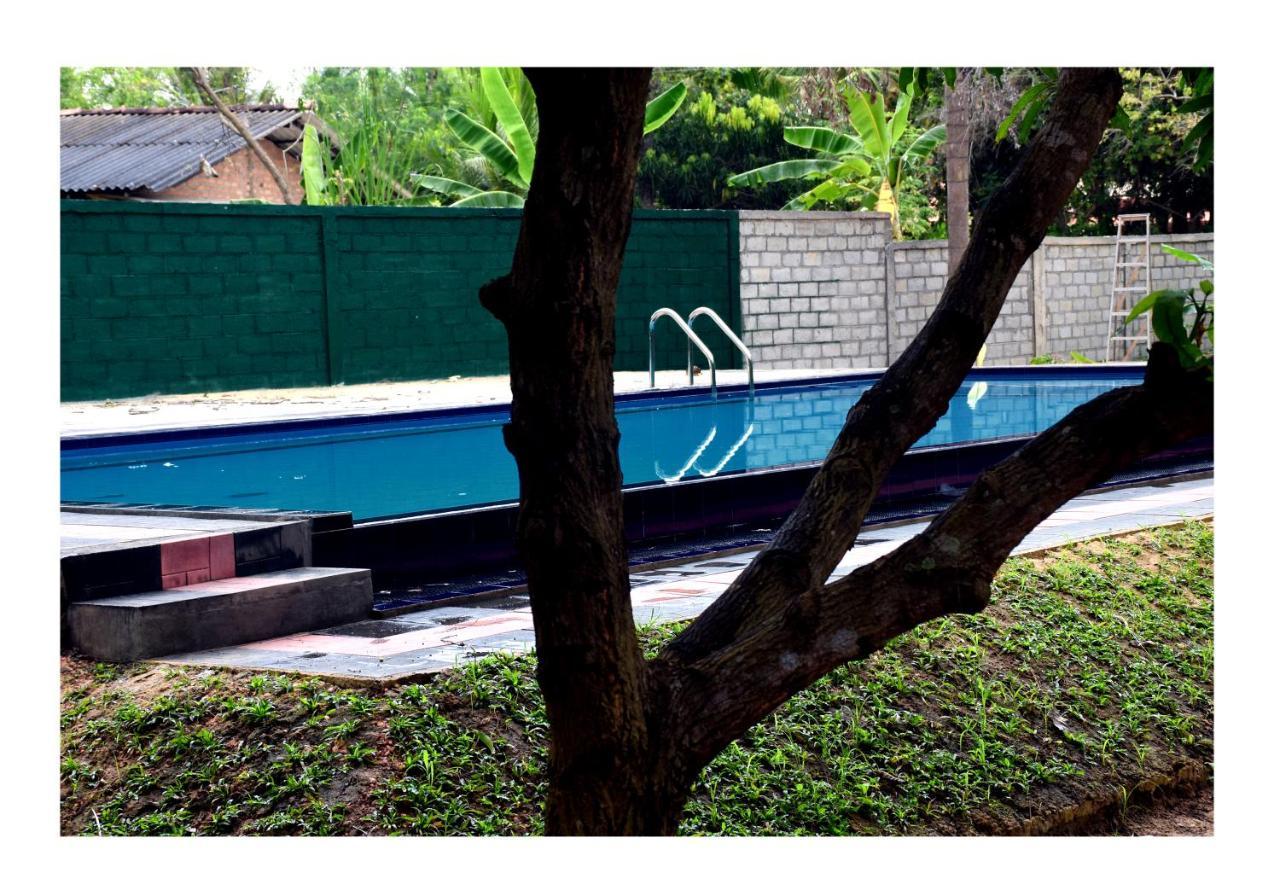 Sun&Green Eco Lodge - Dambulla Exterior foto
