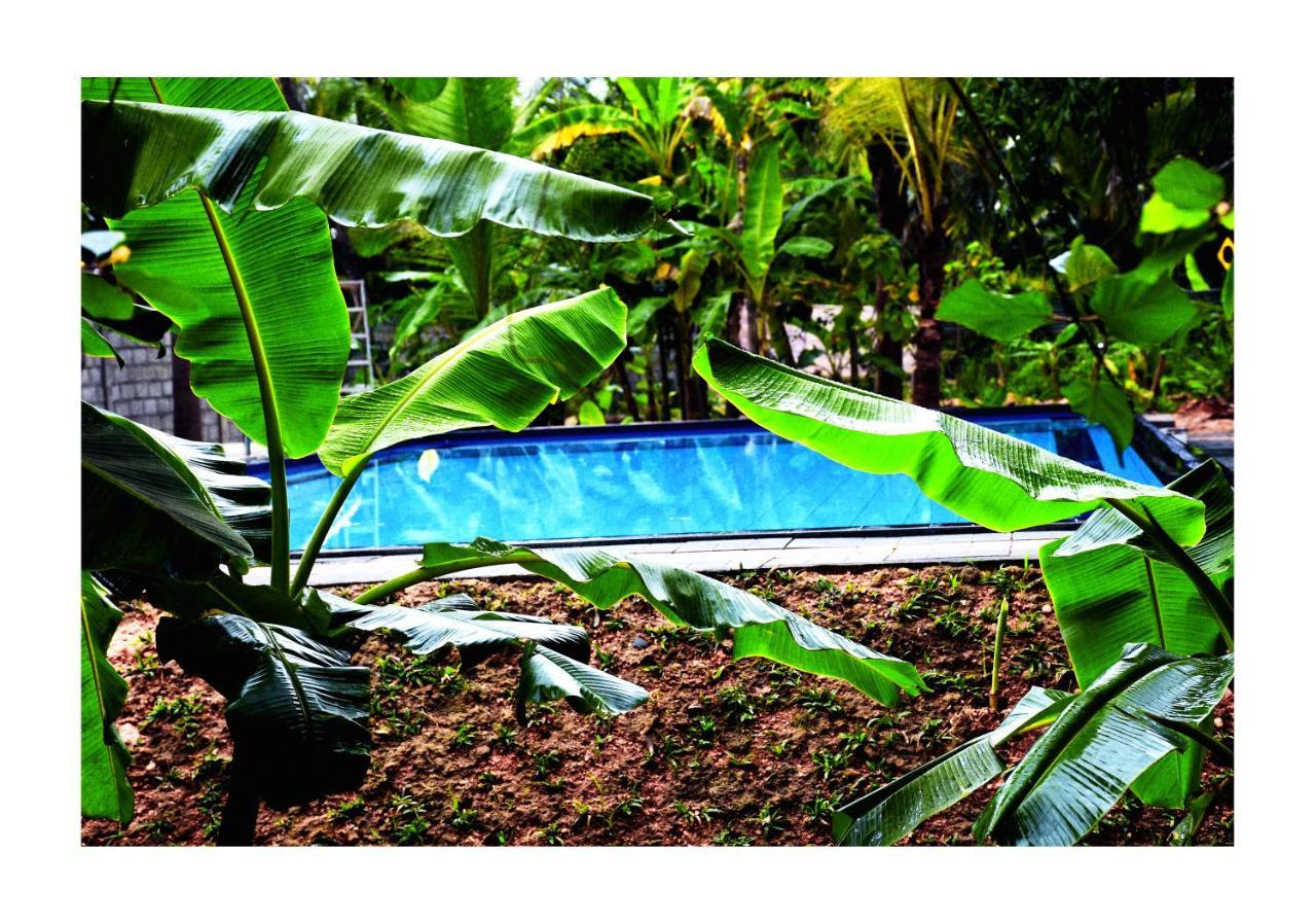 Sun&Green Eco Lodge - Dambulla Exterior foto