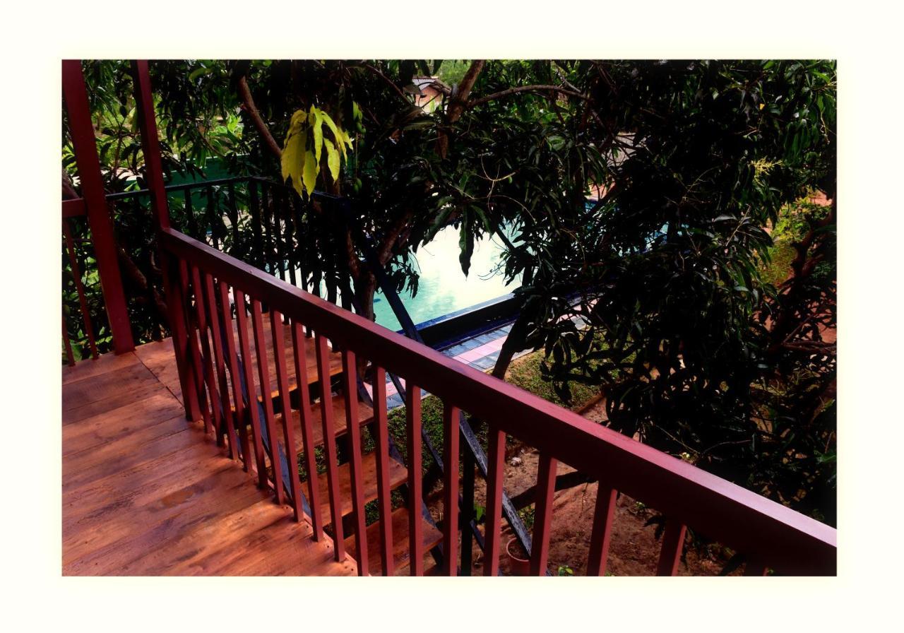 Sun&Green Eco Lodge - Dambulla Exterior foto