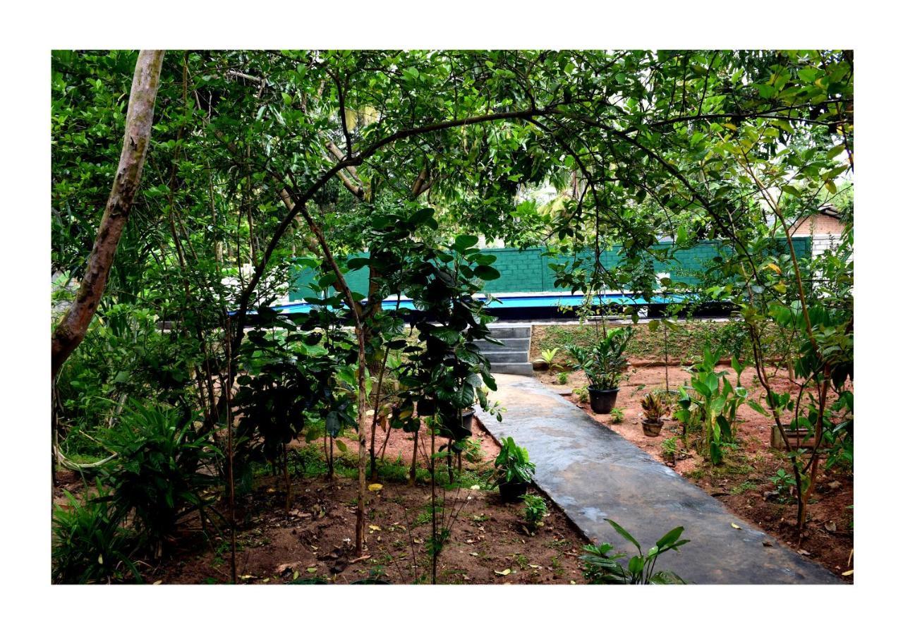 Sun&Green Eco Lodge - Dambulla Exterior foto