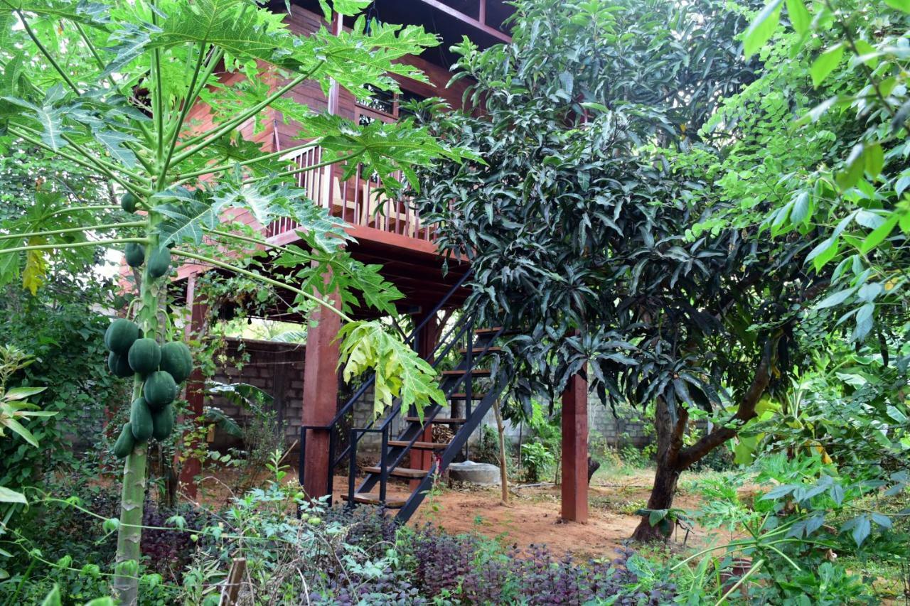 Sun&Green Eco Lodge - Dambulla Exterior foto